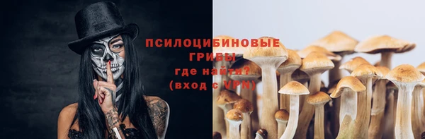 дмт Вязники