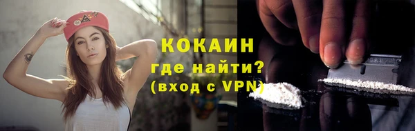 крисы Вязьма