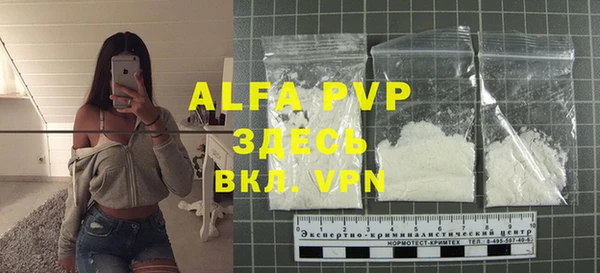 крисы Вязьма
