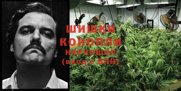 крисы Вязьма