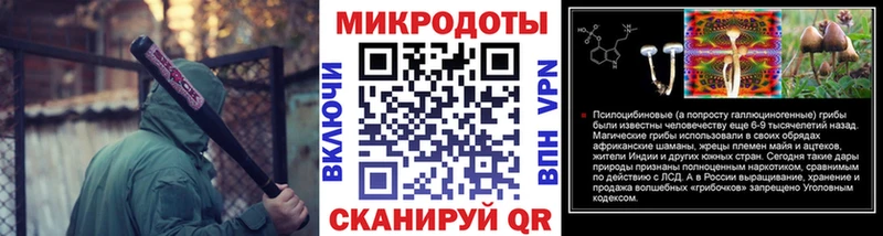 площадка клад  Чернушка  Псилоцибиновые грибы MAGIC MUSHROOMS 